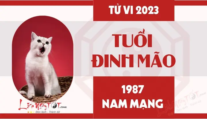Tử Vi Tuổi Mão 1987 Năm 2023 Nam Mạng Tử Vi Tuổi Mão 1987 Năm 2023 Nam Mạng