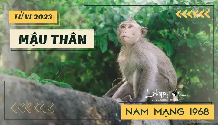 Tử Vi Tuổi Mậu Thân 1968 Nam Mạng Năm 2023 Tử Vi Tuổi Mậu Thân 1968 Nam Mạng Năm 2023