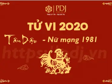 Xem Tử Vi 2020 Tuổi Dậu Xem Tử Vi 2020 Tuổi Dậu